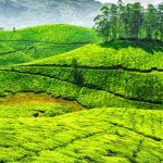 Ooty